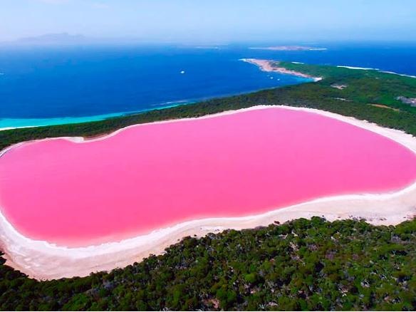 Bi an ho nuoc mau hong giua quan dao hoang so hinh anh