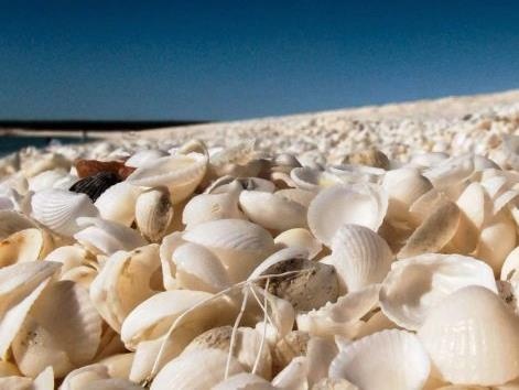 Bai bien 'tuyet trang' doc dao chua hang van vo so hinh anh