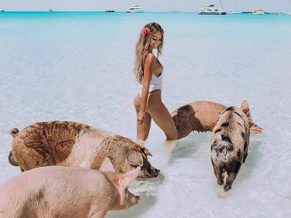 Dan lon boi gioi, than thien voi con nguoi o Bahamas hinh anh