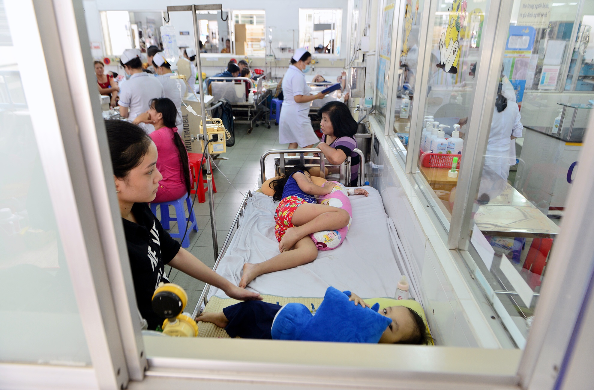 sot xuat huyet anh 1