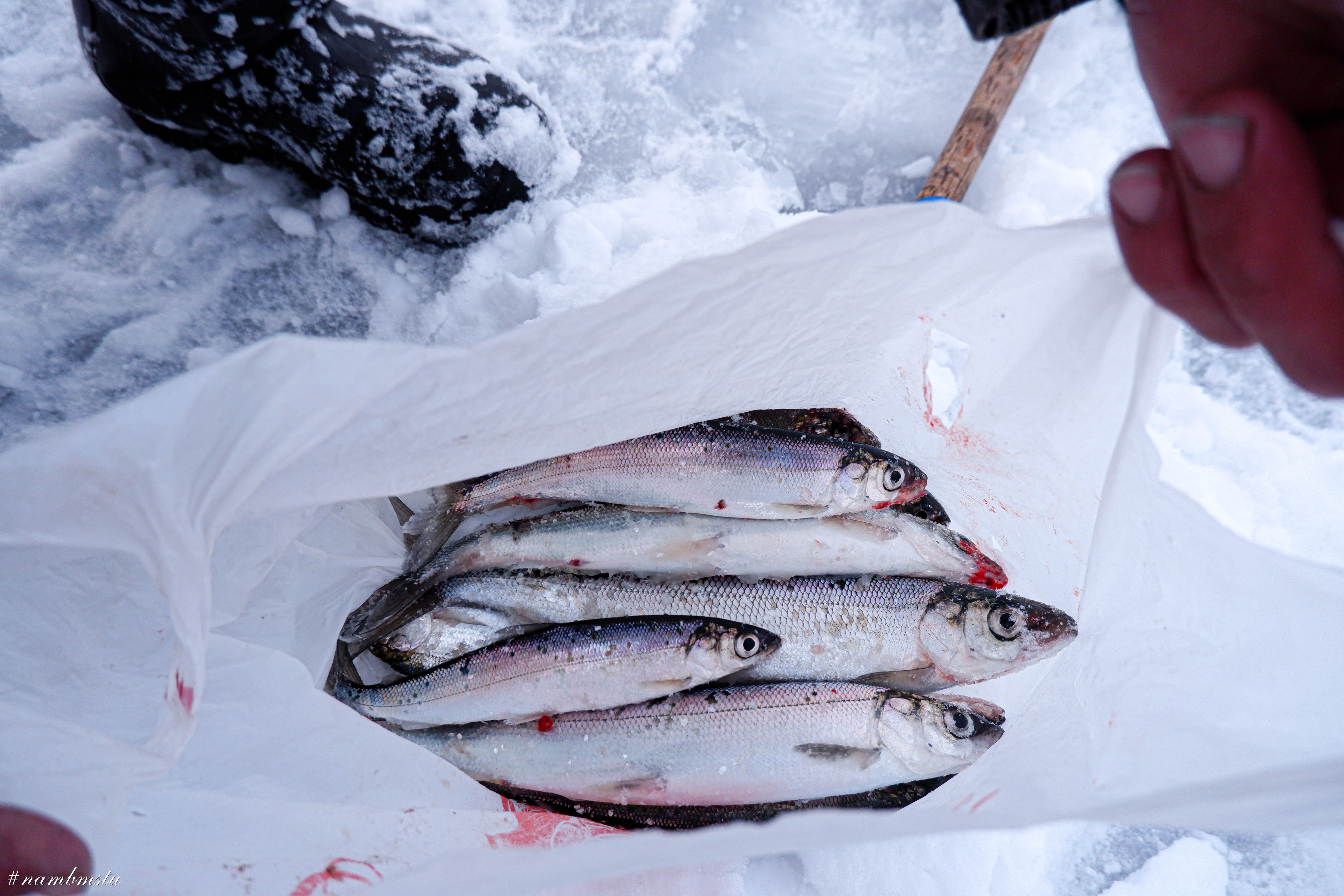 hồ băng baikal ảnh 9 ho bang baikal anh 9