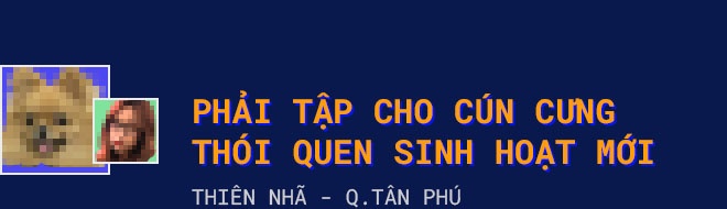 chăm sóc,  thú cưng,  chăm sóc thú cưng khi giãn cách,  giãn cách xã hội ảnh 2 cham soc,  thu cung,  cham soc thu cung khi gian cach,  gian cach xa hoi anh 2