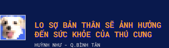 chăm sóc,  thú cưng,  chăm sóc thú cưng khi giãn cách,  giãn cách xã hội ảnh 3 cham soc,  thu cung,  cham soc thu cung khi gian cach,  gian cach xa hoi anh 3