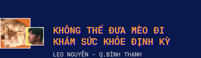 chăm sóc,  thú cưng,  chăm sóc thú cưng khi giãn cách,  giãn cách xã hội ảnh 5 cham soc,  thu cung,  cham soc thu cung khi gian cach,  gian cach xa hoi anh 5