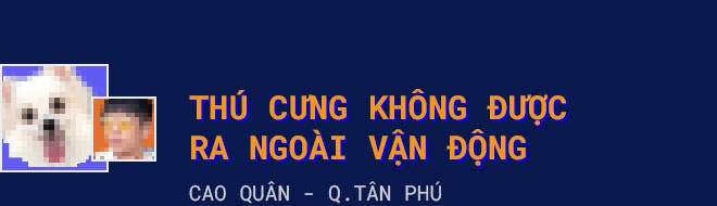 chăm sóc,  thú cưng,  chăm sóc thú cưng khi giãn cách,  giãn cách xã hội ảnh 6 cham soc,  thu cung,  cham soc thu cung khi gian cach,  gian cach xa hoi anh 6
