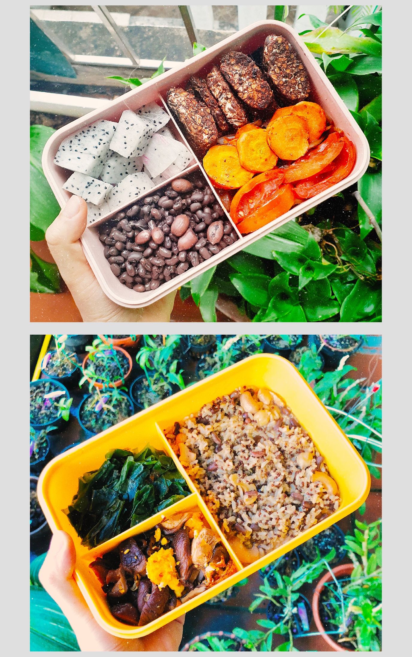 ăn uống, dinh dưỡng, nghỉ ngơi ảnh 4 an uong, dinh duong, nghi ngoi anh 4