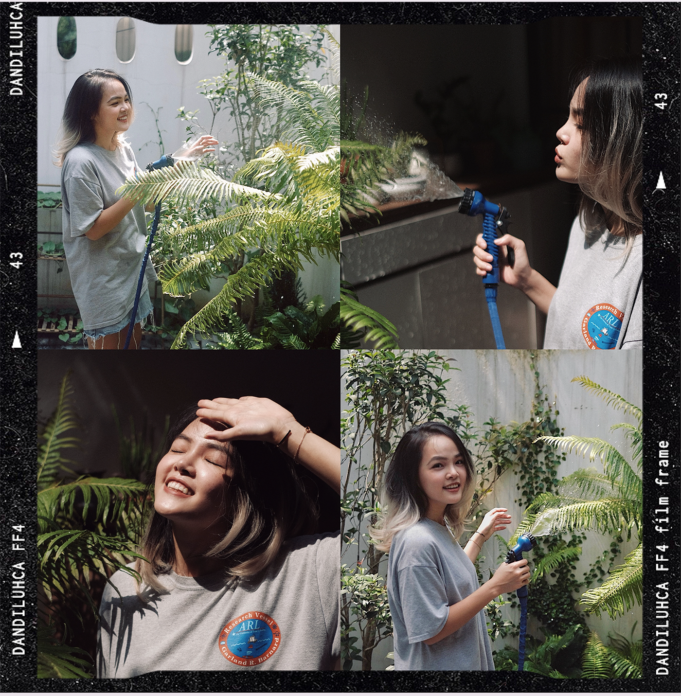 giai tri,  website,  tu hoc anh 11