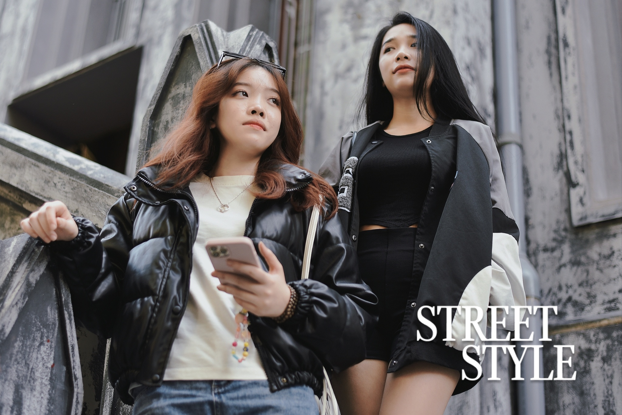 Giang sinh khong mau do hinh anh