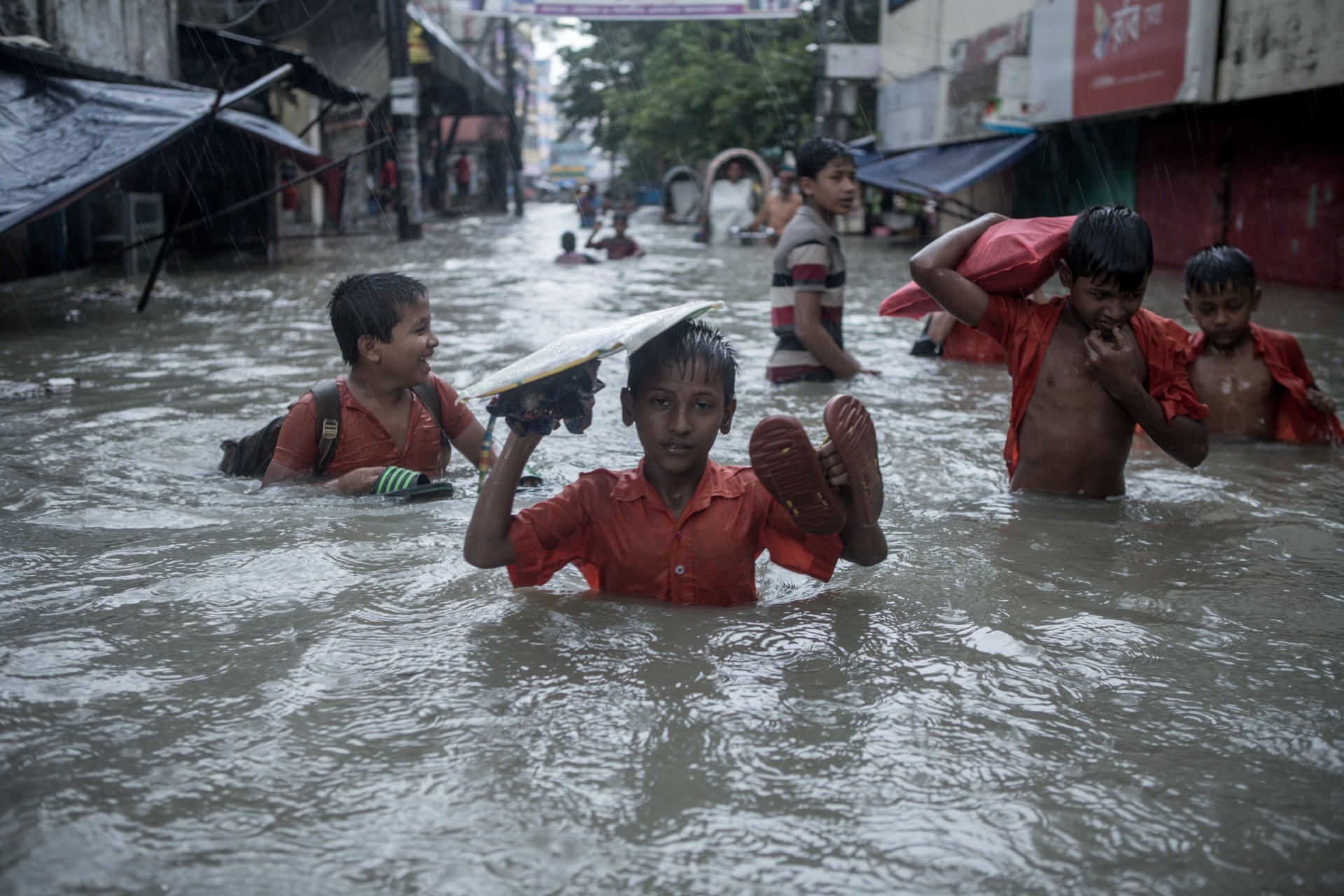 Gau keo vao lang, nuoc nhan chim pho vi bien doi khi hau hinh anh