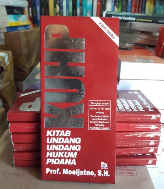 bieu tinh,  indonesia,  sex law,  widodo,  luat hinh su anh 3