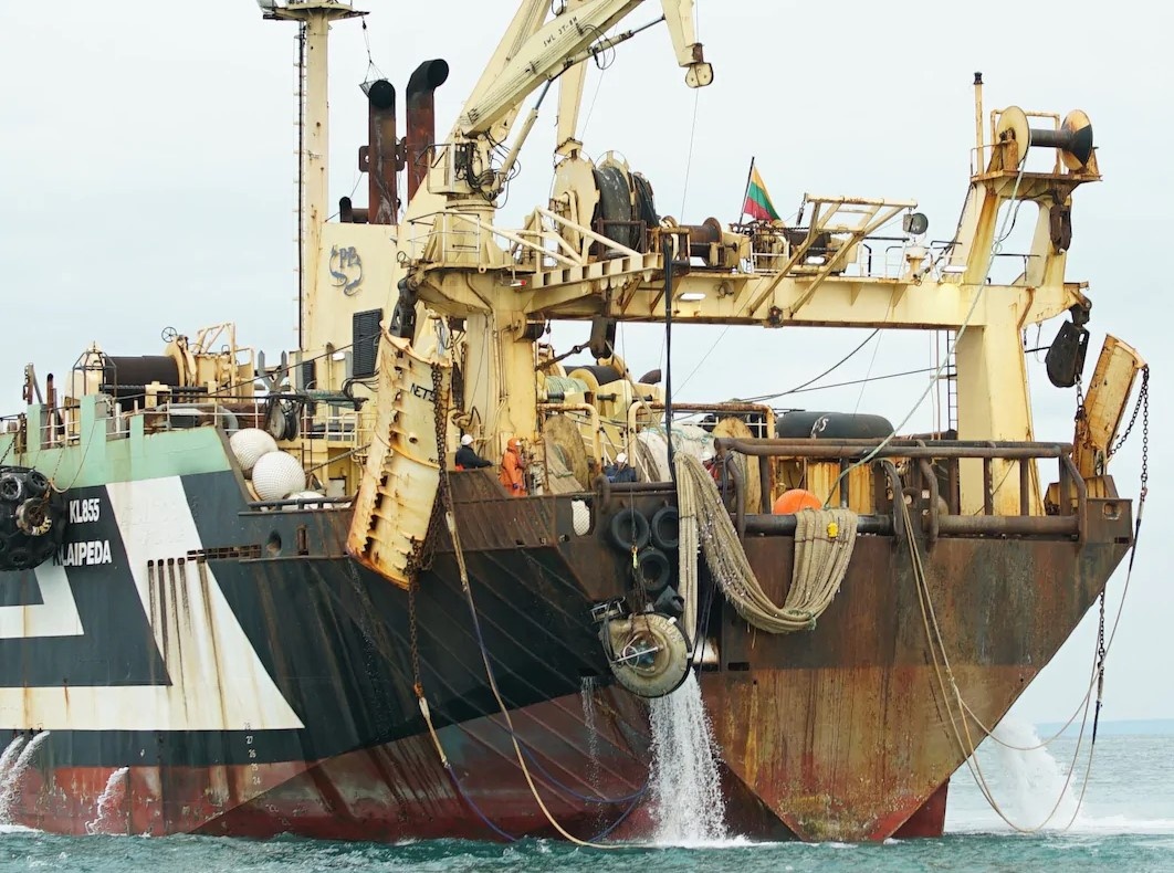 tàu cá, khổng lồ, động vật bị đe dọa, brexit, châu âu ảnh 3 tau ca, khong lo, dong vat bi de doa, brexit, chau au anh 3