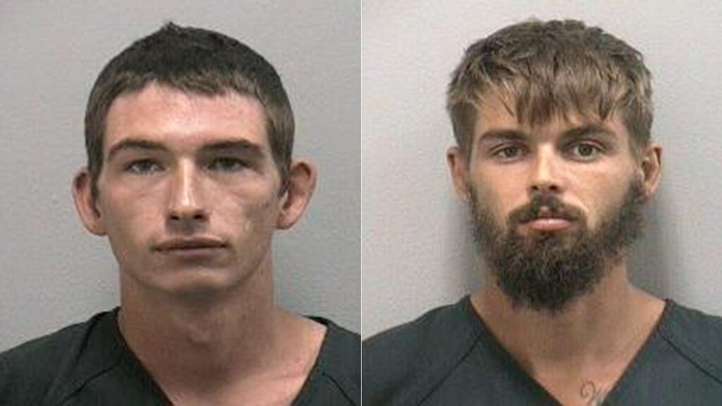 ca sau,  bia,  my,  nguoc dai dong vat anh 2