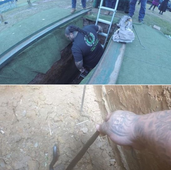 ran den bung do,  uc,  dam tang,  chet nguoi,  ran doc anh 1