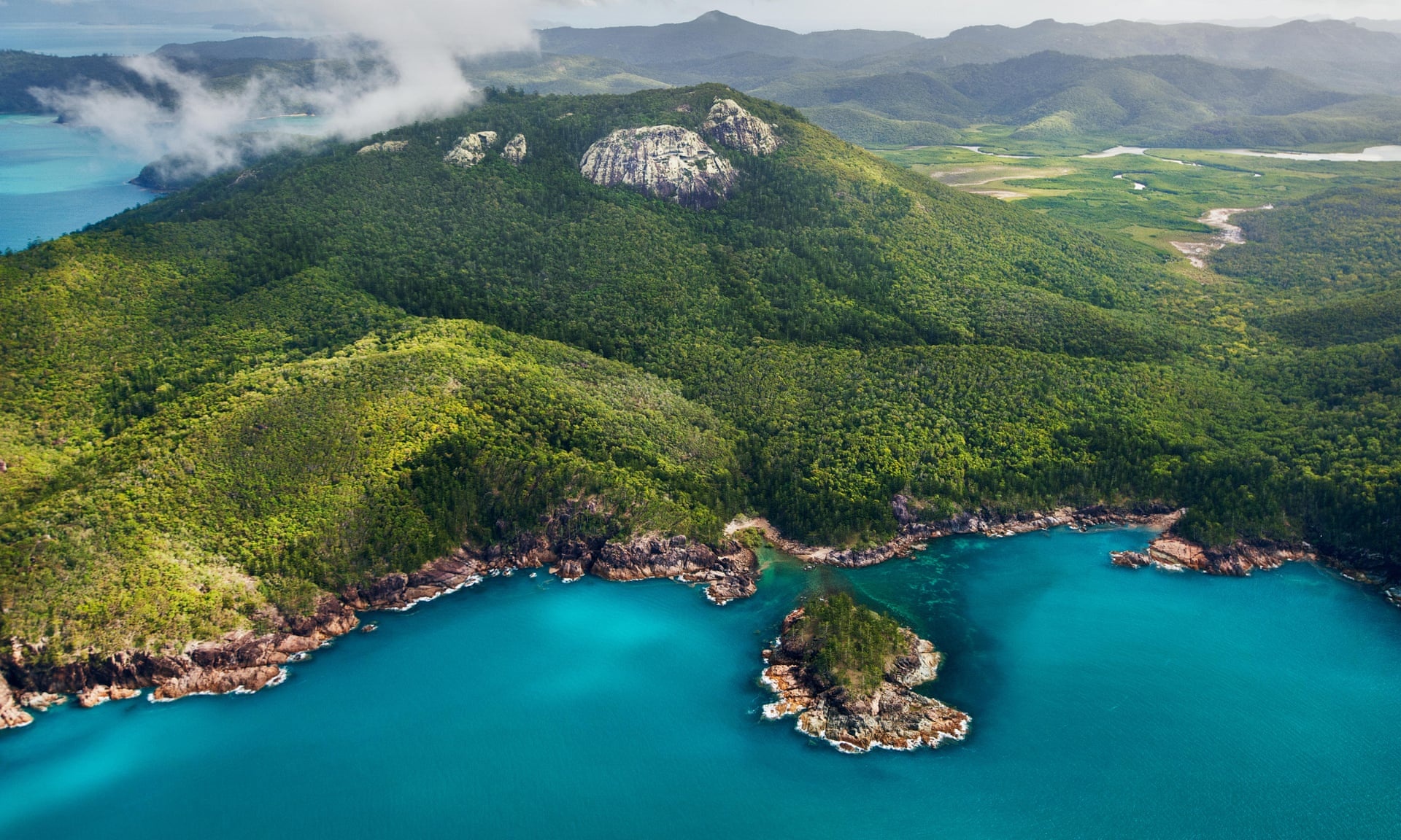 cá mập, australia, queensland, allie beach, tấn công, bẫy cá mập ảnh 2 ca map, australia, queensland, allie beach, tan cong, bay ca map anh 2
