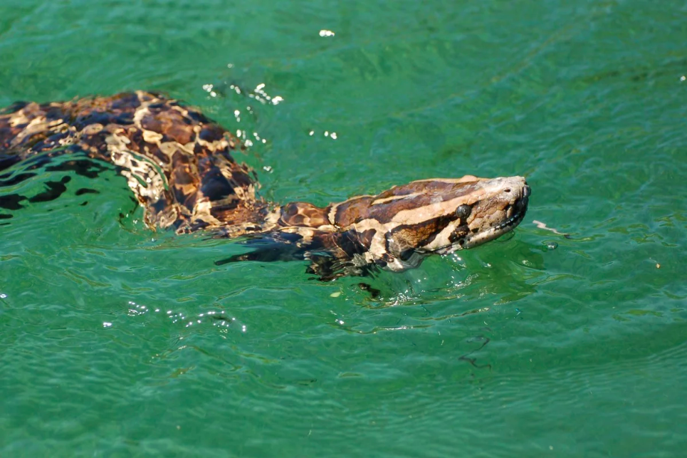 tran mien dien o My anh 2