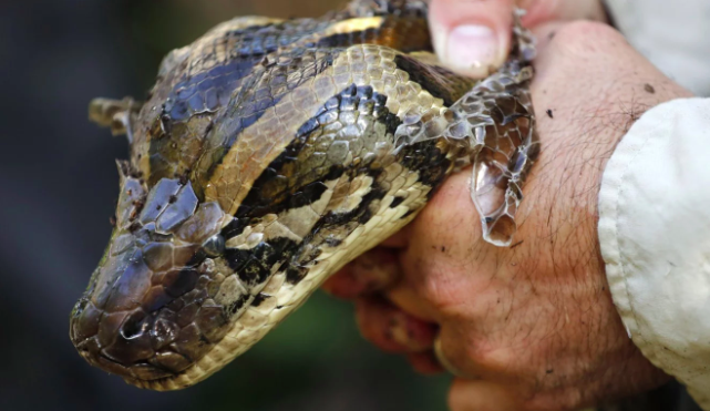 tran mien dien o My anh 5