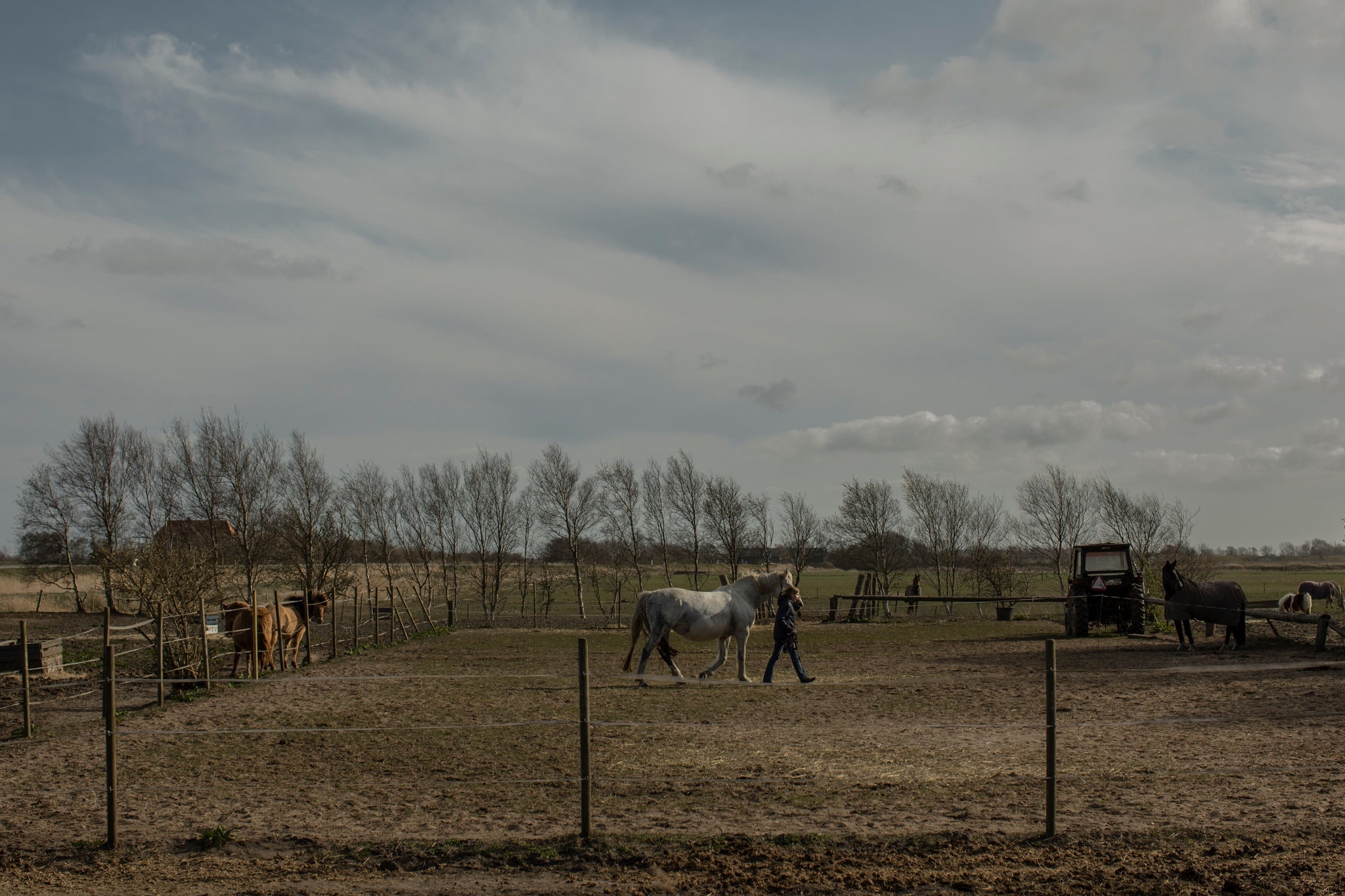 tinh gia,  nguoi gia,  u80,  covid 19,  virus corona,  tinh yeu,  dich benh,  chau au,  duc,  dan mach,  bien gioi dong cua,  phong toa anh 2