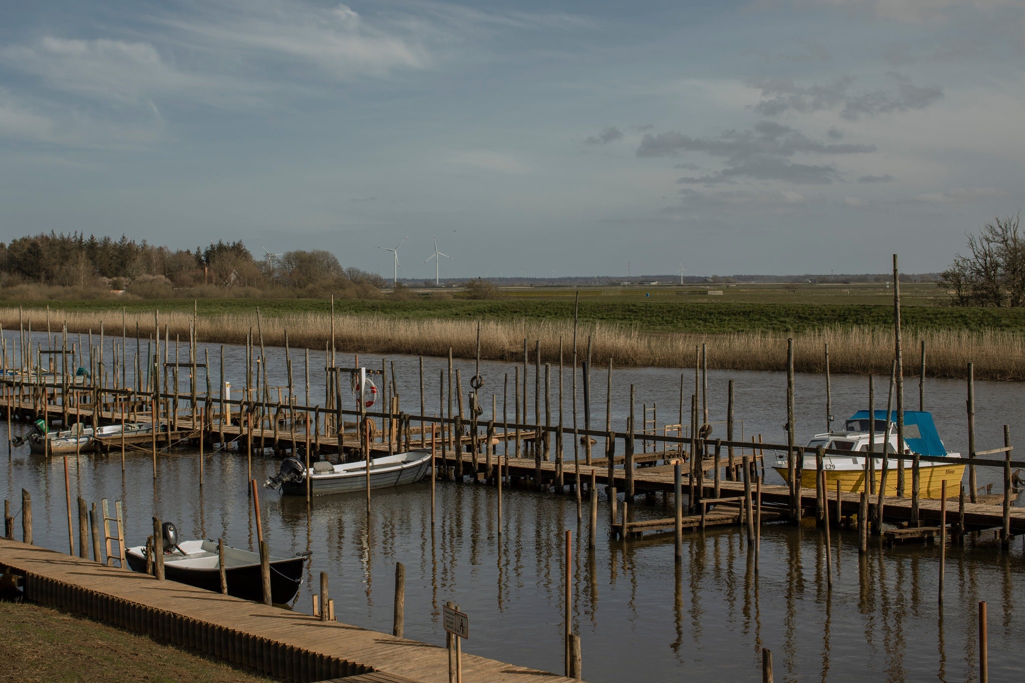 tinh gia,  nguoi gia,  u80,  covid 19,  virus corona,  tinh yeu,  dich benh,  chau au,  duc,  dan mach,  bien gioi dong cua,  phong toa anh 4