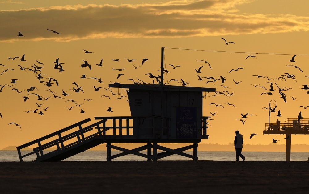 virus vo hinh,  noi so vo hinh covid-19,  covid-19 ke thu vo hinh anh 4