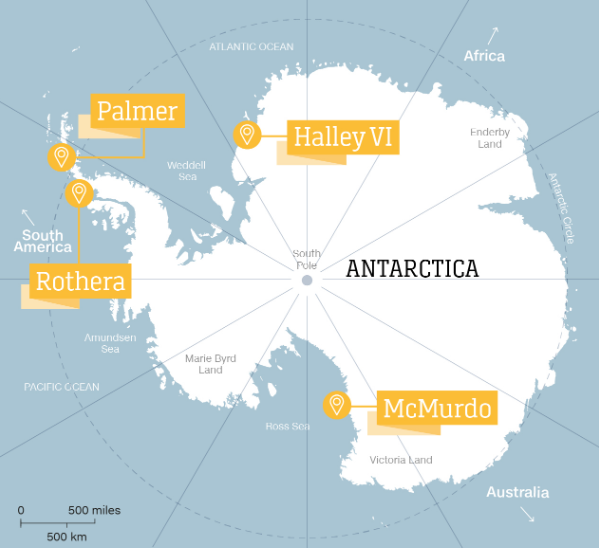 nam cuc trong dich covid 19 anh 2