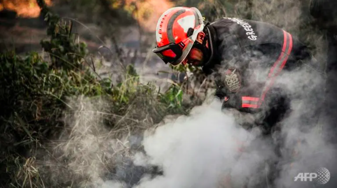 'Ngon lua zombie' chay suot 5 nam o Siberia hinh anh