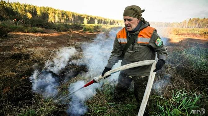 chay than bun o Nga,  chay rung bien doi khi hau anh 3