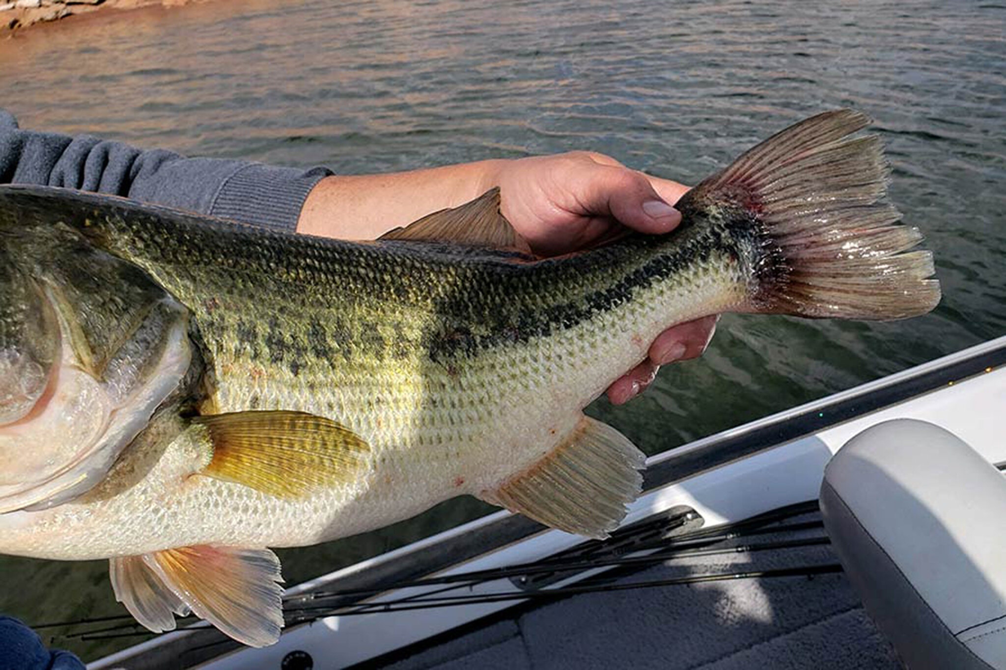 Be boi trao ca trong cuoc thi cau o My hinh anh