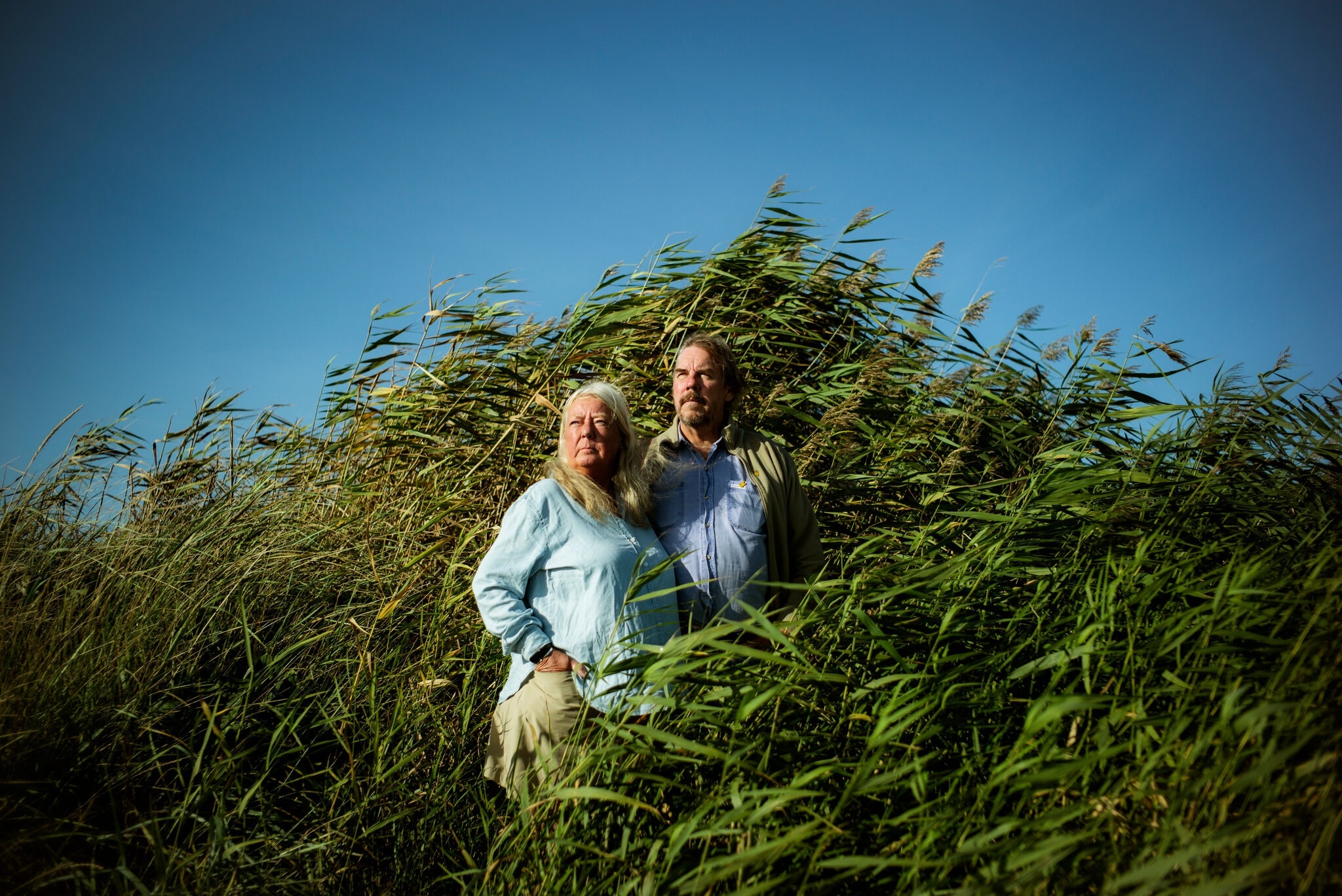 vu an giet nha bao thuy dien,  vu an tau ngam,  review phim the investigation anh 1