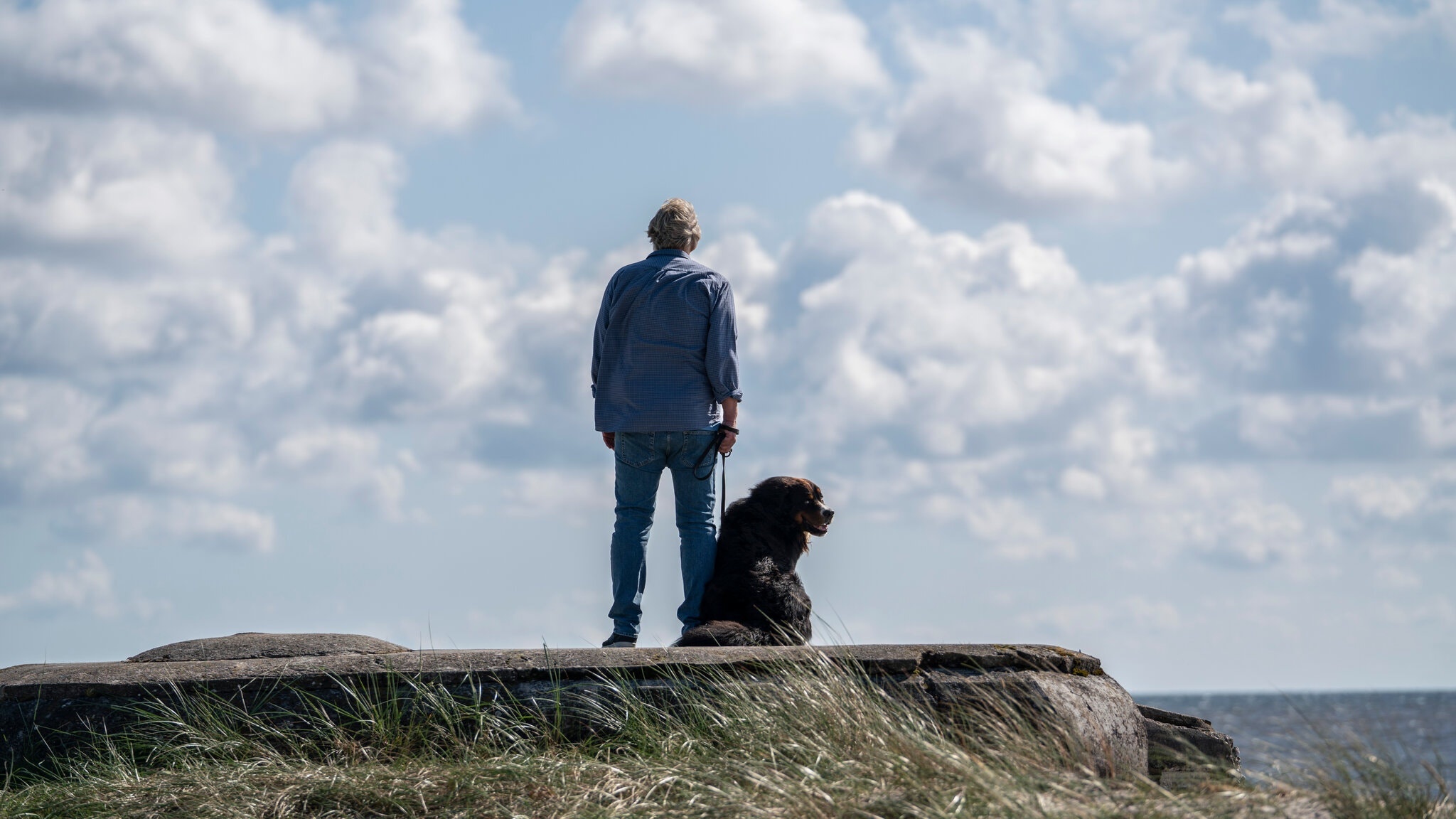 vu an giet nha bao thuy dien,  vu an tau ngam,  review phim the investigation anh 8