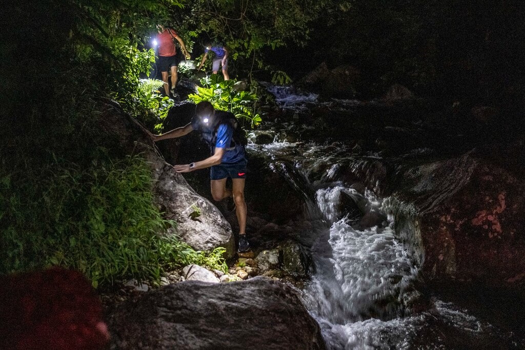 dong vat hoang da hong kong anh 3