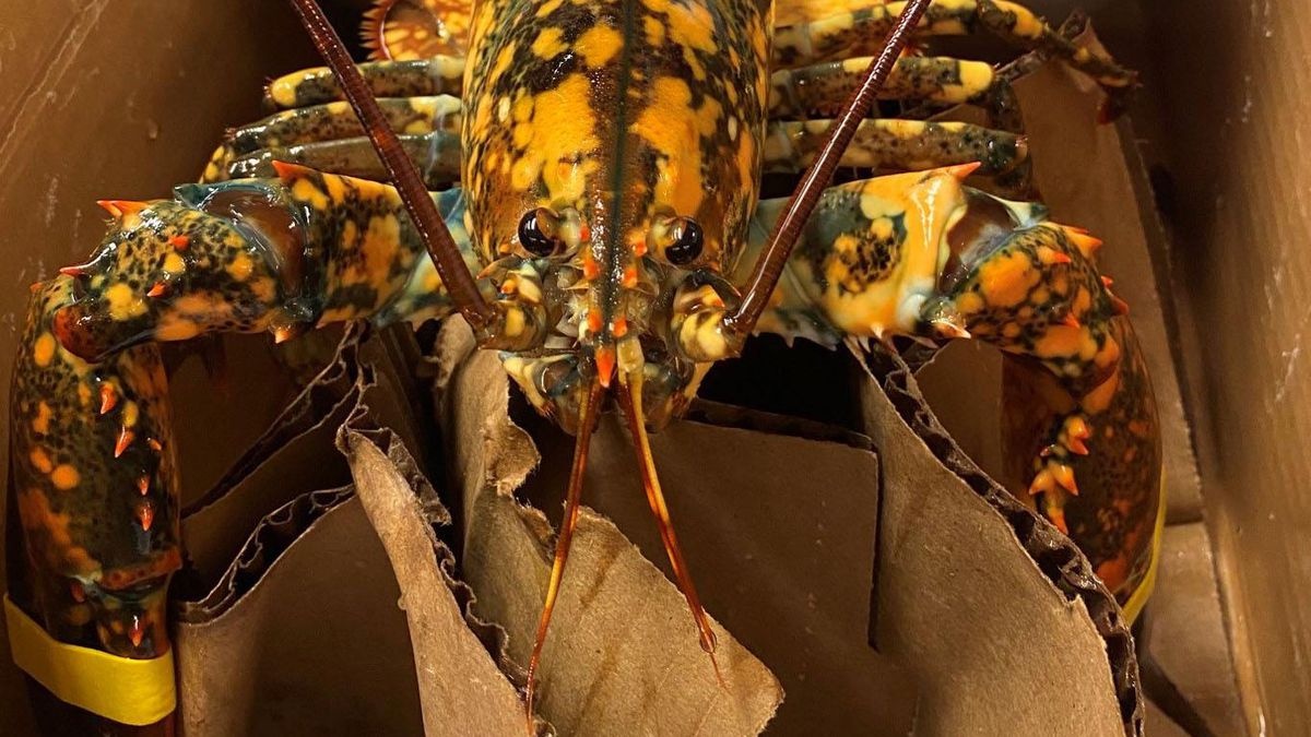 Phat hien tom hum la trong lo hang o sieu thi hinh anh