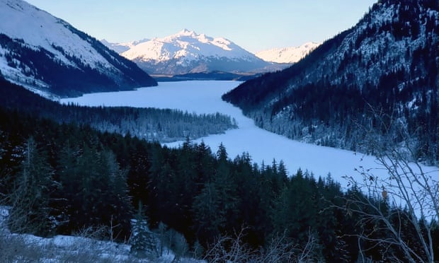 gau can mong,  gau tan cong nguoi anh 1