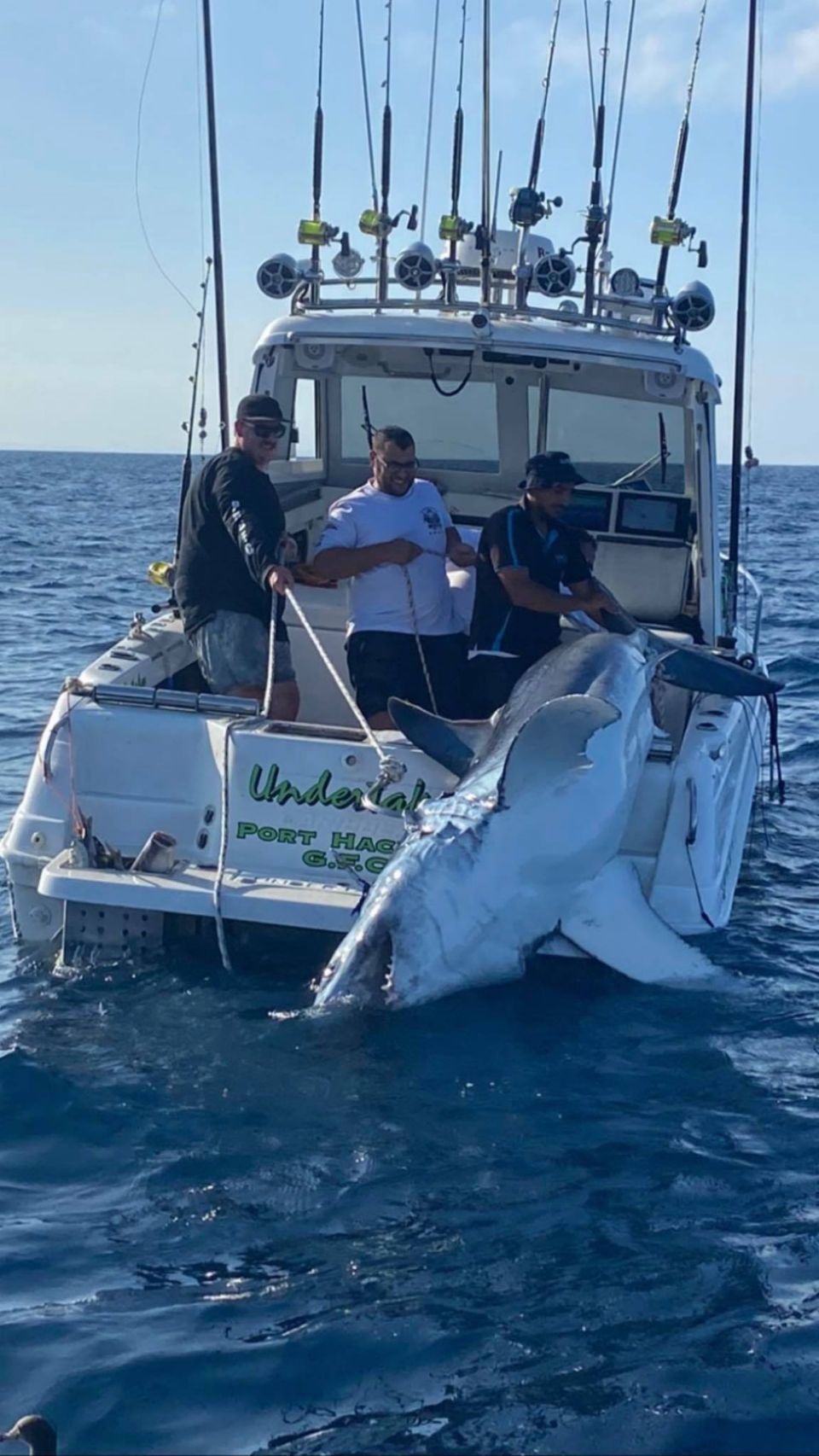 bat ca map khong lo anh 2