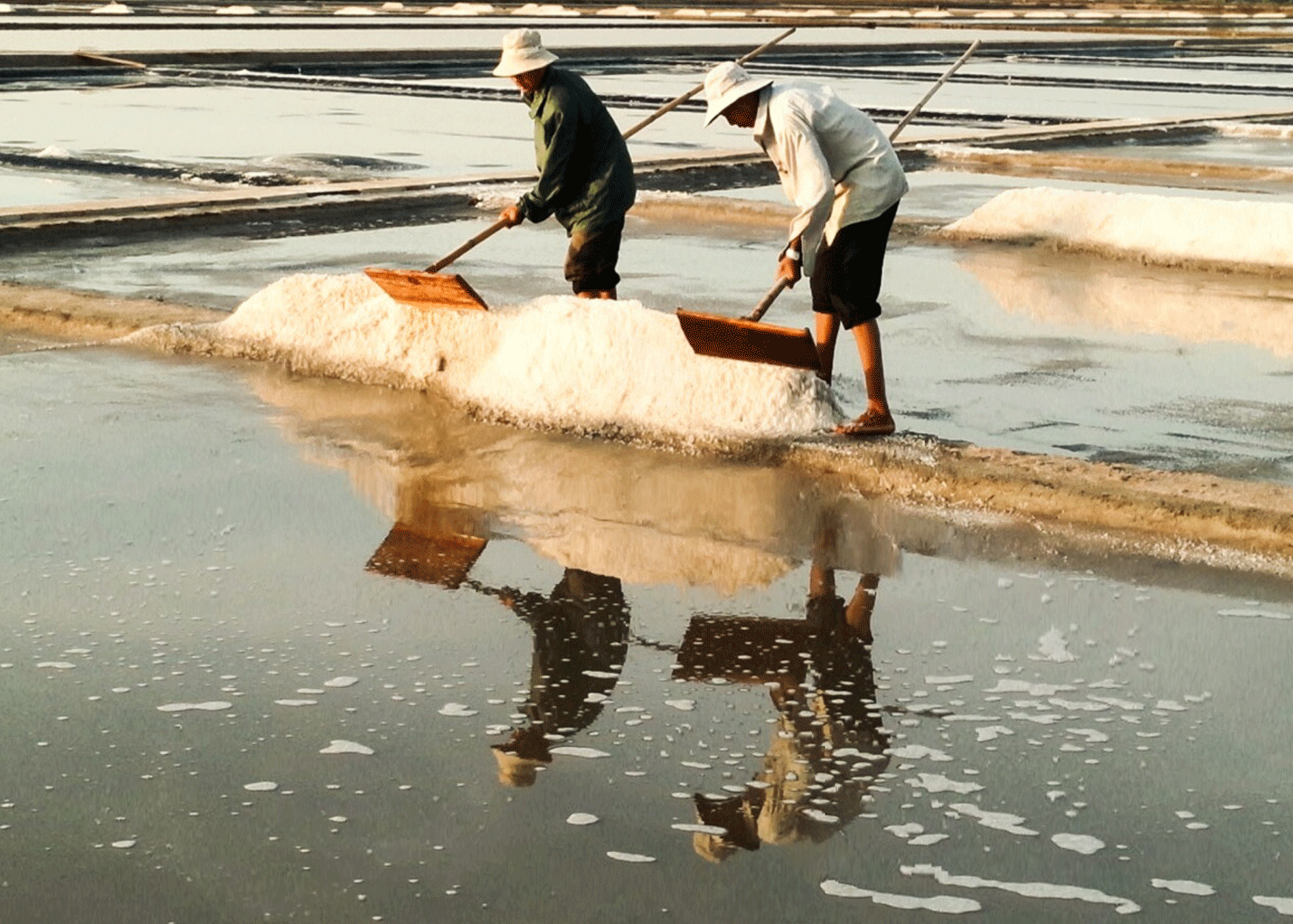 Người dân làng biển trong vụ mùa thu hoạch muối.