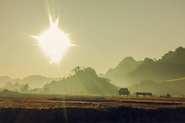 Viet Nam qua ong kinh smartphone OPPO N1 hinh anh