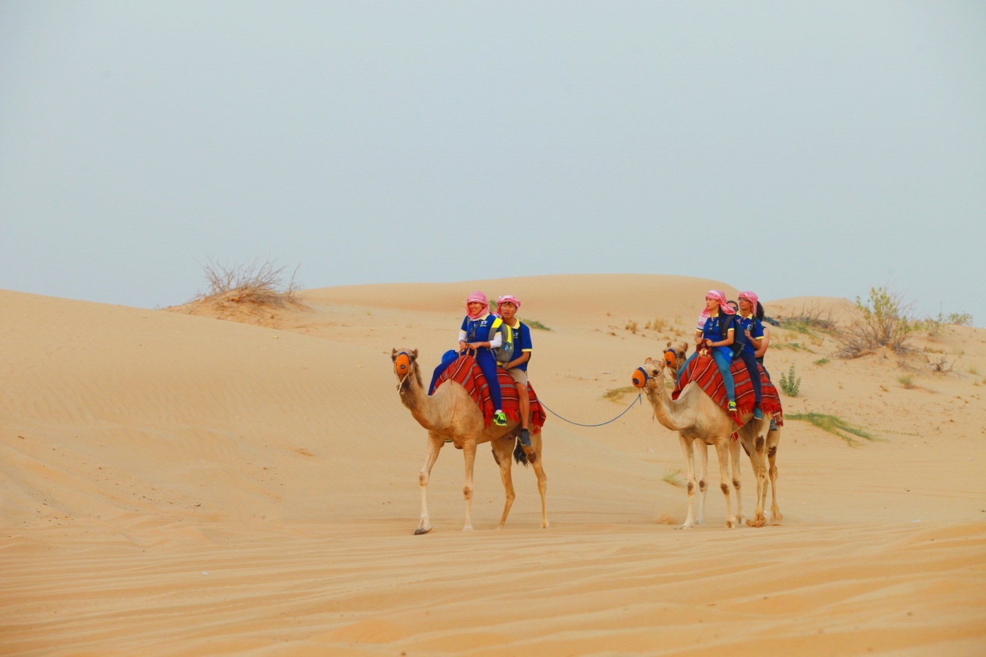 Vốn là những người thích chinh phục thử thách, Phạm Chí Huy, Nguyễn Thị Thảo, Nguyễn Xuân Sang và Nguyễn Thị Thiên Hà rất phấn khích khi được tham gia hành trình trải nghiệm chảo lửa Safari. 