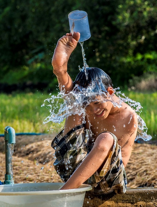   Sức sống mãnh liệt trong tác phẩm Tự lực – Phạm Quốc Hưng.