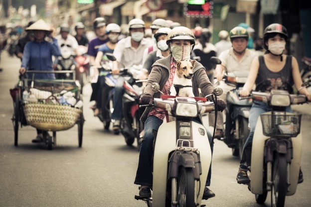 Nhập mô tả chohrtỷty ảnh