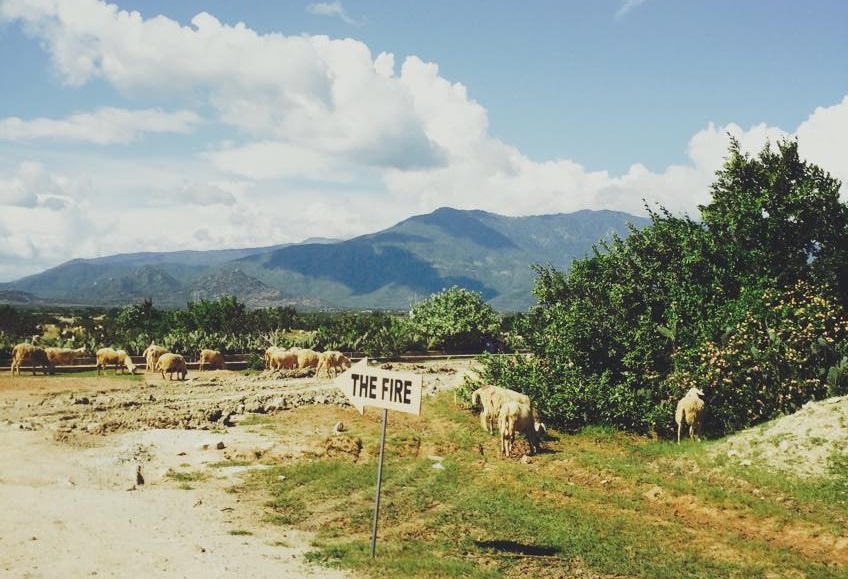 Khu vực đồi cừu, Ninh Thuận – địa điểm diễn ra The Fire 2015.