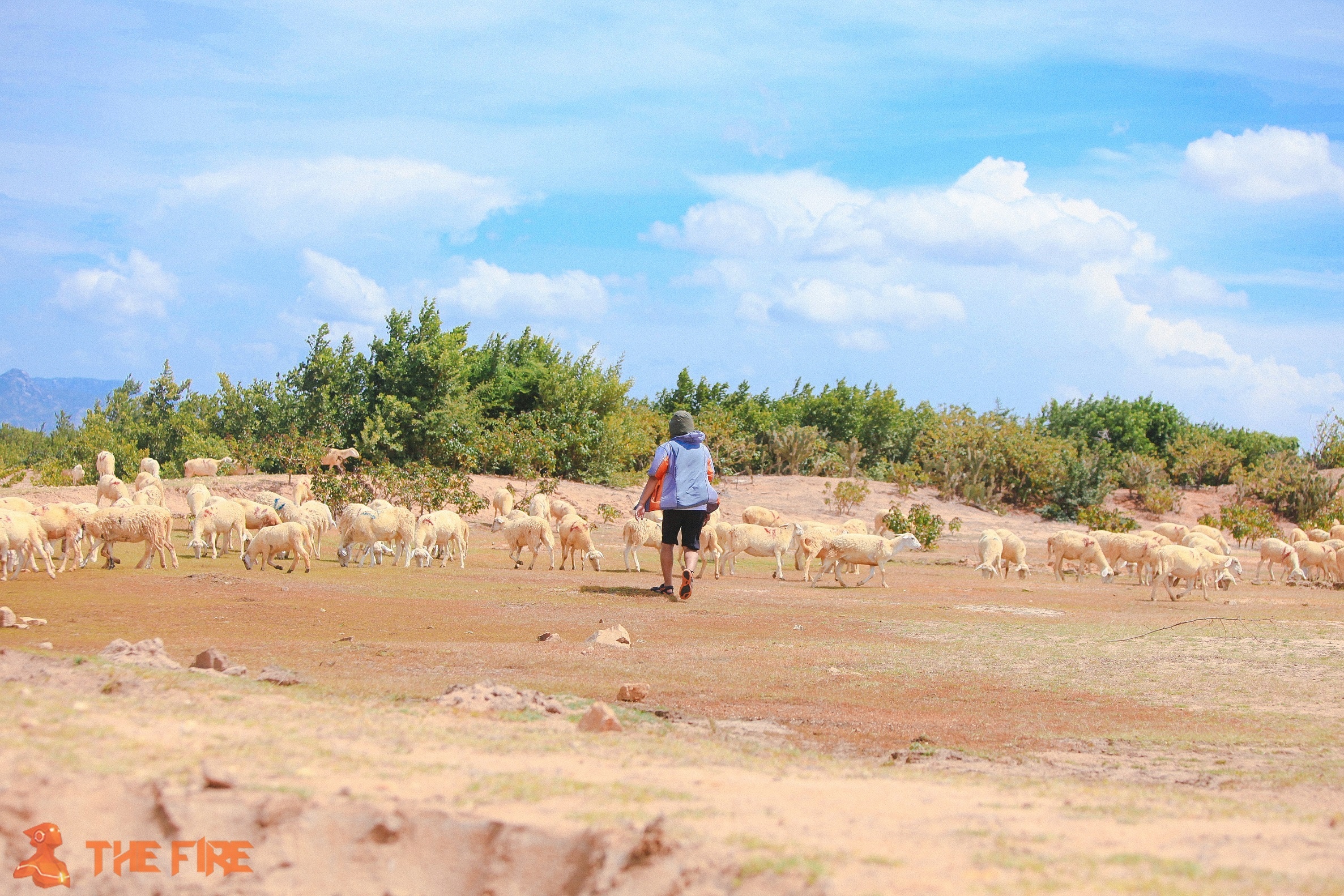 Đồi Cừu, Ninh Thuận sẽ mang đến trải nghiệm hoàn toàn mới cho người chơi The Fire.