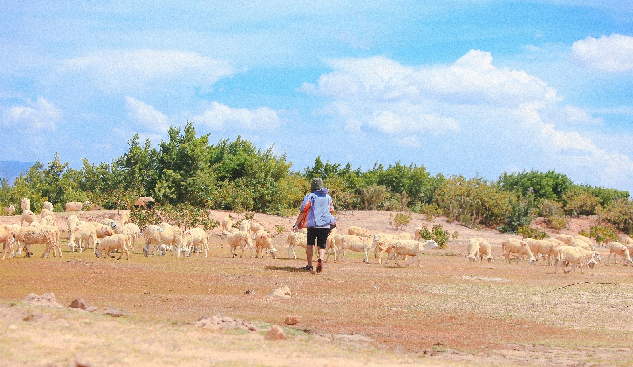 5 dieu thu vi danh cho gioi tre tai The Fire hinh anh