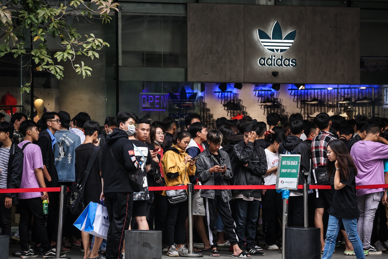 Yeezy 350 V2 Cloud White anh 11