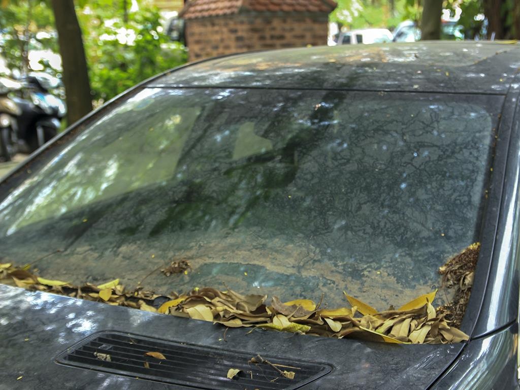 Mercedes-AMG,  S63 AMG,  xe cu anh 8