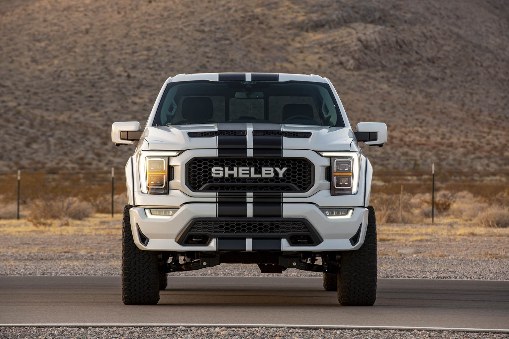 Ford,  F-150,  Shelby,  F-150 Raptor ảnh 2 Ford,  F-150,  Shelby,  F-150 Raptor anh 2