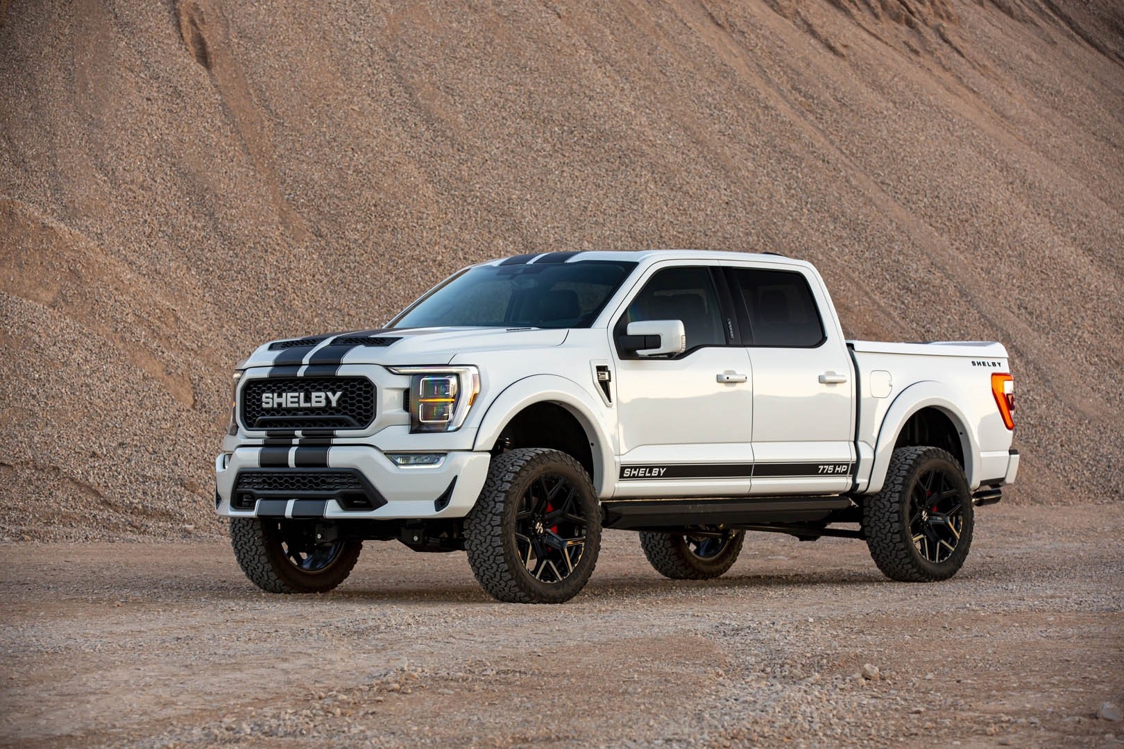Ford,  F-150,  Shelby,  F-150 Raptor ảnh 1 Ford,  F-150,  Shelby,  F-150 Raptor anh 1