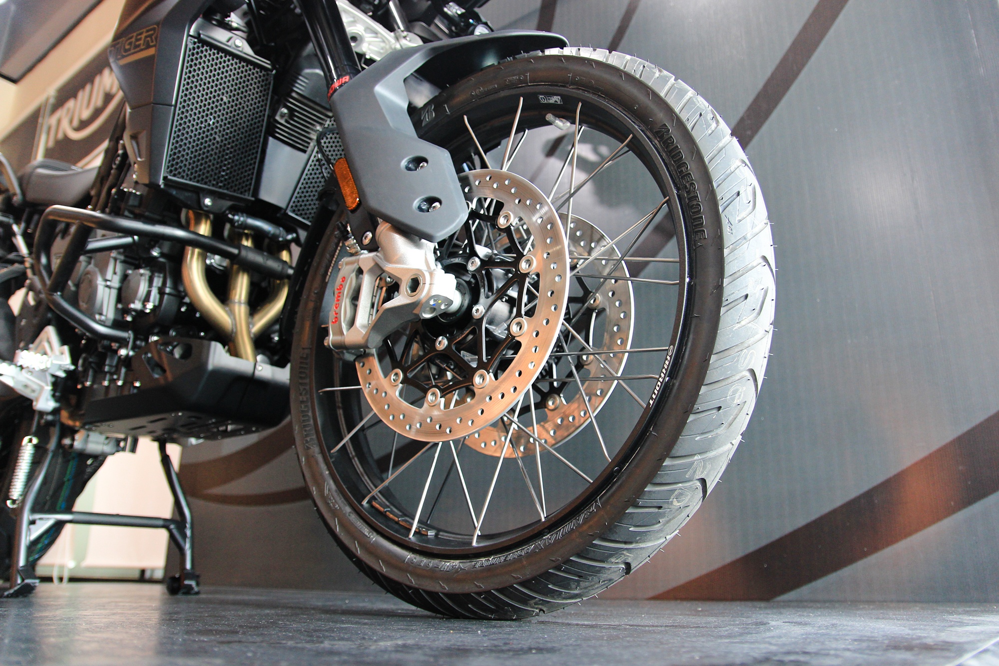 Triumph,  Tiger 900 Rally,  Pro anh 11