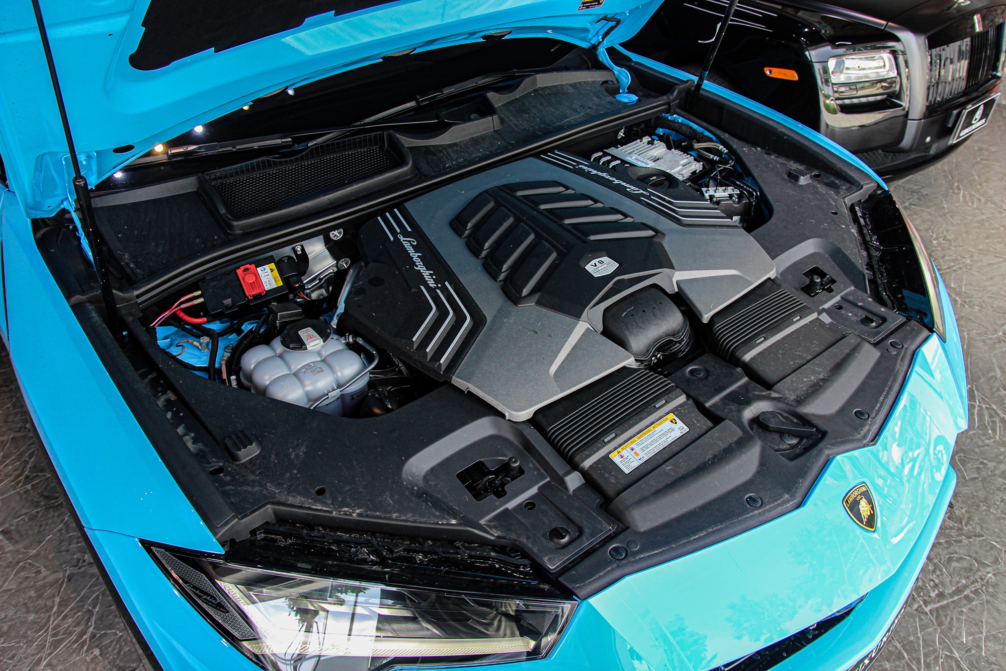 Lamborghini, Urus ảnh 17 Lamborghini, Urus anh 17