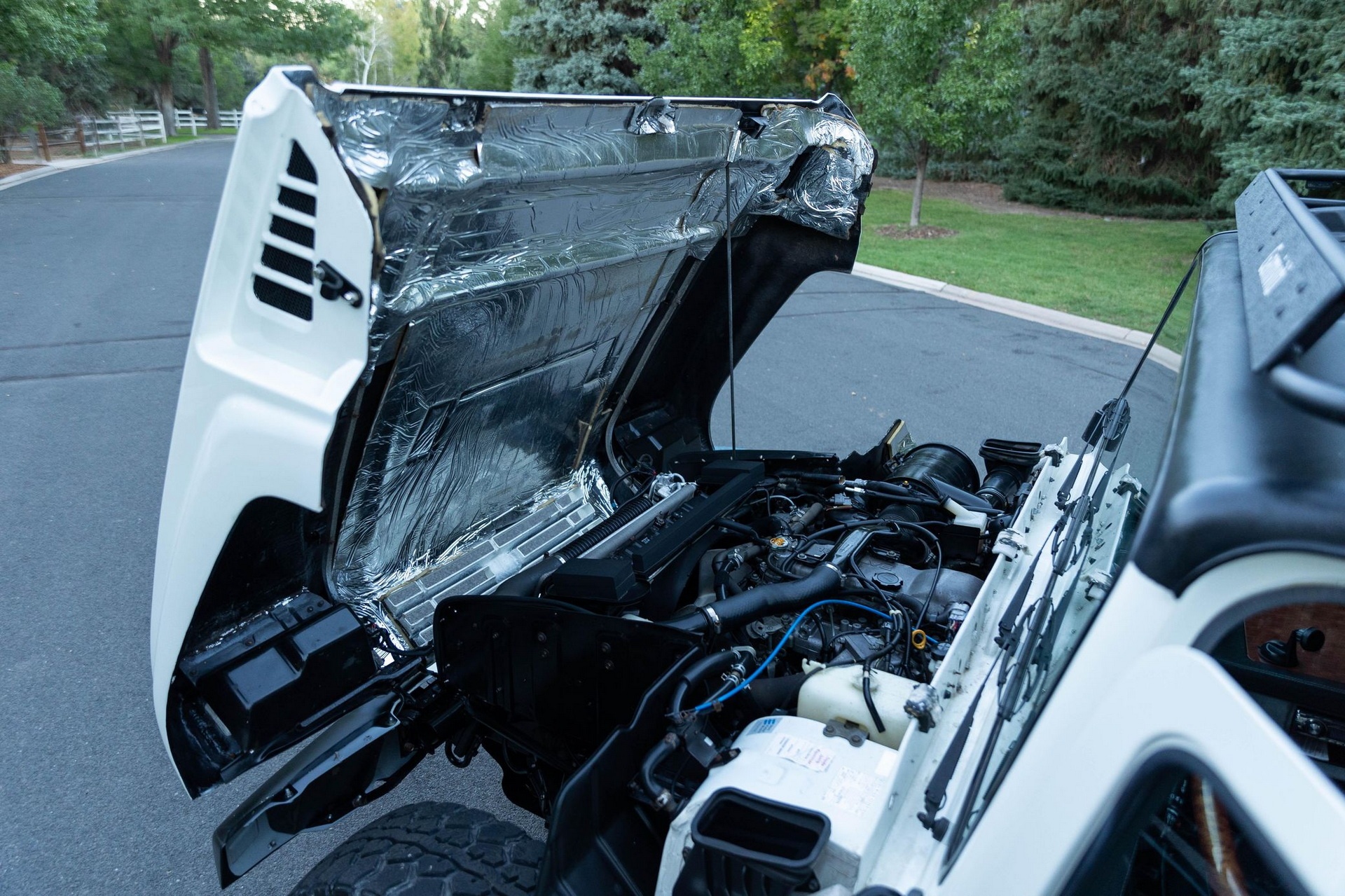 Toyota,  xe dia hinh,  Mega Cruiser anh 16