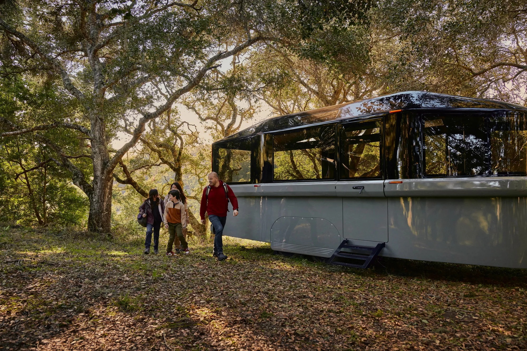 xe dien,  xe cam trai anh 4