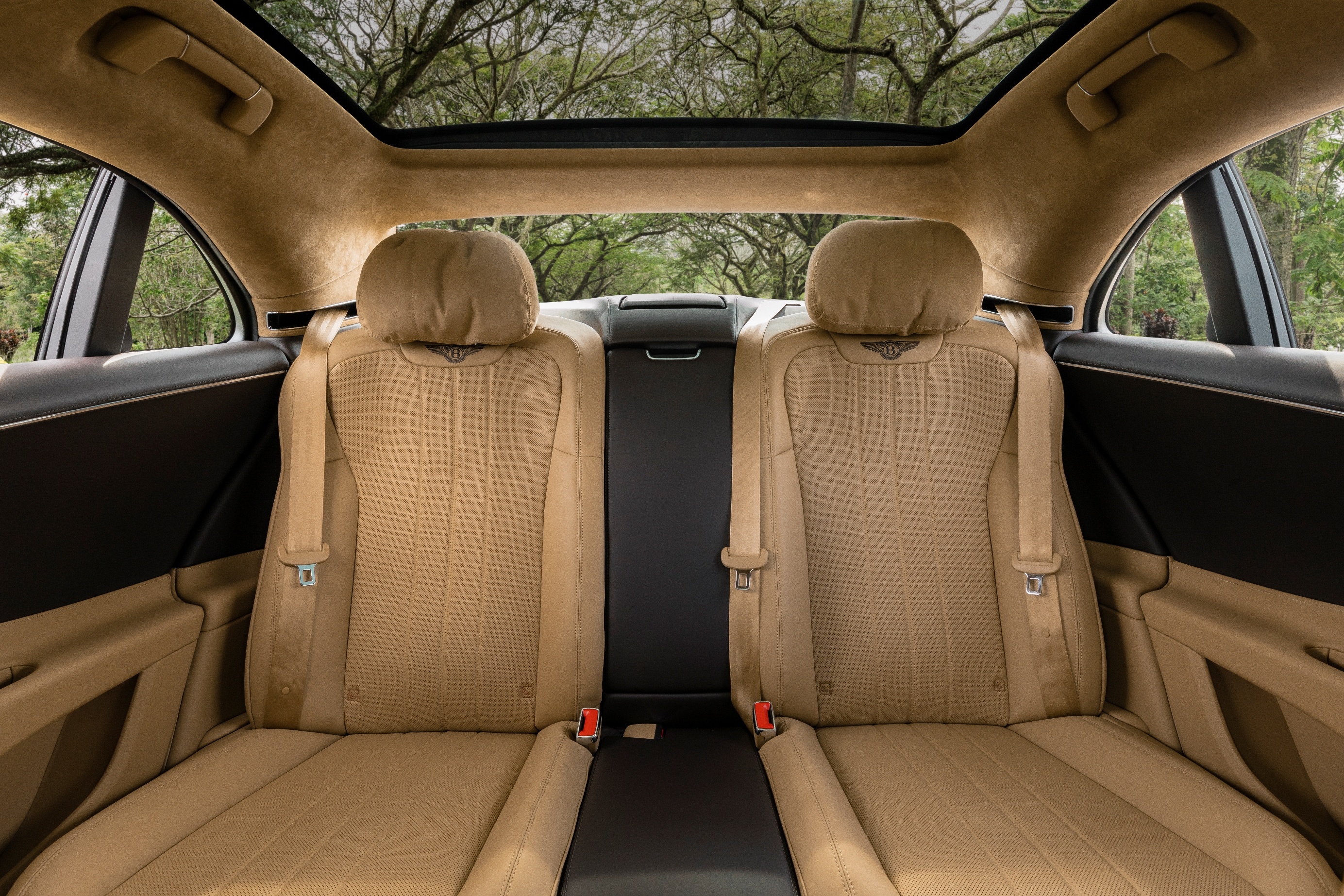 Bentley Flying Spur Hybrid anh 8